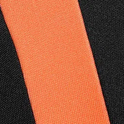 Puma Men Cricket Team Shorts image 2