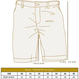 Andamen Men Mid-Rise Regular Shorts image 3