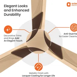 orient electric Orient Wendy with 2 Year Warranty Anti Dust 1200 mm Ceiling Fan image 5