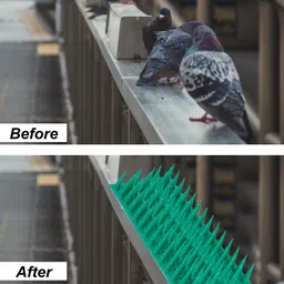 plastkart Bird Spike image 1