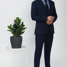 peter england Men Single Breasted - 2 button Checkered Suit image 1