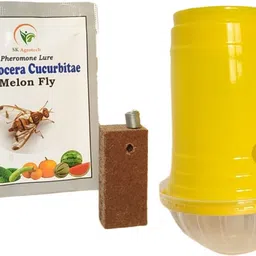 Bactrocera cucurbitae- melon fruit fly pheromone trap & lure-image-1