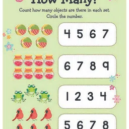 Dreamland Kids Learn Everyday Numbers And Patterns Book image 4