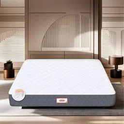 coirfit Twin Plus 5 Zone shape Tech queen Size Mattress-picture-18