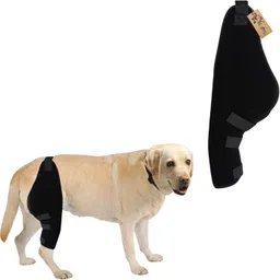 petworld Dog Hind Leg Arthritis Brace Knee Support image 2