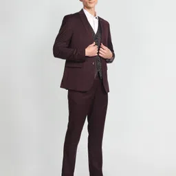 arrow Men Three Piece Solid Suit image 2