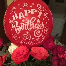 party land inc. Solid Happy Birthday Latex Rubber Balloon, Pack Of 30, Multicolour Balloon image 2