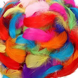 airtick (Pack of 80pc) Multi-Purpose Natural Dyed Craft Feathers for Art & Craftworks image 3