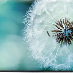 Anweshas Full Body Laptop Skin Sticker - Greenish Dandelion Wallpaper Self Adhesive Vinyl Laptop Decal 15.6 image 3