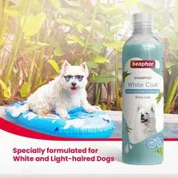 beaphar White Coat Dog Shampoo with Tea Tree and Aloe Vera | Whitening Color Enhancing 250 ml Pet Coat Cleanser image 2