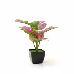 kraftbix Bonsai Artificial Plant with Pot image 4