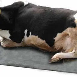 rkmats Best Quality Cow Mat Waterproof BPA Free With Raised Edges Cow, Dog, Guinea Pig, Hamster, Miniature Pig Pet Mat image 3