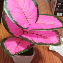 ankana enterprise Bonsai Artificial Plant with Pot image 3