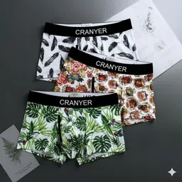 cranyer Pack of 3 Printed Men Brief-picture-10
