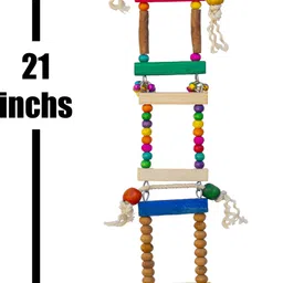 greenbirds TOYS Combo Of Colorful, Playful & Interactive Wooden Bird Ladder & Wooden Swing Parrot Toys Cage Accessories Resting Toy Pet Perch Bird Toy Wooden Training Aid For Bird & Parrots Wooden Chew Toy, Training Aid, Perch For Bird image 2