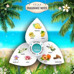 arias By Lara Dutta Perfume Body Spray Peaceful 150ml Perfume Body Spray-For Women image 2