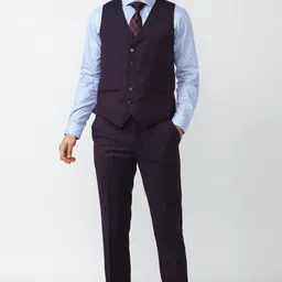 peter england Men Single Breasted - 2 button Textured Suit image 4