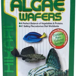 hikari fish food Algae Wafers 40gm (1.41oz) Vegetable 0.04 kg Dry Young, Senior Fish Food-picture-15