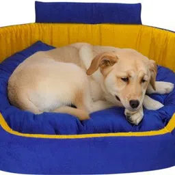 havens dream Dog Bed, Sofas Bed & Chairs Bed With Collur M Pet Bed-picture-18