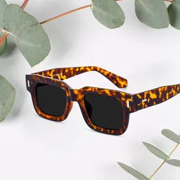 Peter Jones Eyewear Unisex Oversized Sunglasses with Polarised Lens 3688DA image 3