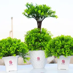 shanol Green, White Anthurium Artificial Flower with Pot-picture-18