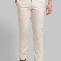 Park Avenue Men Beige Textured Checked Slim Fit Trousers-image-0