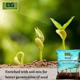 elamgreen Seed Starter Potting Mix for Fast Germination & Healthy Seedlings Soil Test Kit image 4