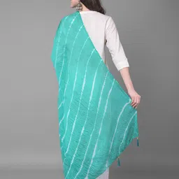a r silk dupatta hub Chiffon Striped Light Green Women Dupatta-picture-25