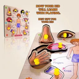 pentamark Mini Wooden Human Body Parts Puzzle with Knobs, Learning Game For Kids image 5