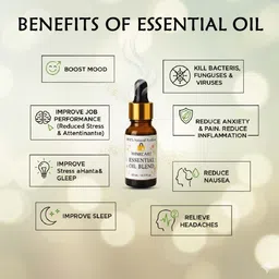 winkcart Natural Fasli Gulab Essential Oil|Car Hanging Diffuser Combo Long-Lasting Refill, Aroma Oil image 3