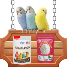 nitishree Premium Budgie Seed Mix with100g Cattle Bone Powder Bird Food for Healthy Growth Nuts 1.7 kg (2x0.85 kg) Dry New Born, Adult, Young, Senior Bird Food image 5