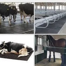 ursus Long Lasting BPA Free Waterproof Cowmats With Premium Quality Cow, Dog, Guinea Pig, Hamster, Miniature Pig Pet Mat image 4