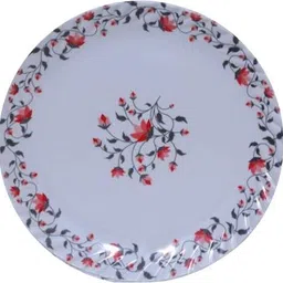 carnival Smart(503)7 Inch Dinner/Lunch/Dining Plate Set 12 Pcs of Melamine Dinner Plate image 2