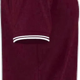 tb blue Men Self Design Polo Neck Cotton Blend Maroon T-Shirt image 4