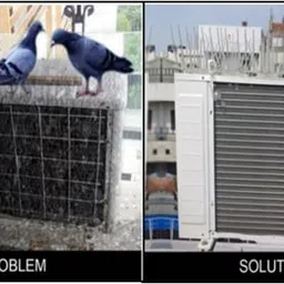 spikezone Bird Spike image 5