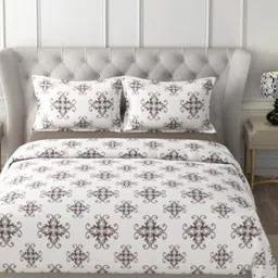 HOME PLUS STUDIOS Raymond Rich Dream Brown Cotton 160 TC King Bedsheet Set-2.74mx2.74m-image-46