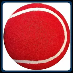 New-New-Tennis _148Pack of 6 Tennis Ball-image-40