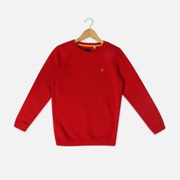 Allen Solly Junior Boys Round Neck Pure Cotton Sweatshirt-picture-3
