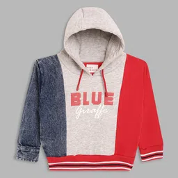 Blue Giraffe Boys Grey Colourblocked Hooded Sweatshirt-picture-20