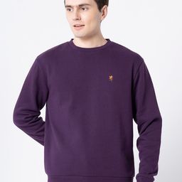 Red Tape Men Purple Sweatshirt-picture-38