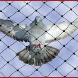 supreme 10FT X 10FT Nylon Balcony Net/Bird Net/Monkey Net/Child Protection Net Camping Net-picture-25