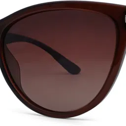 elvis Polarized Cat-eye Sunglasses (57)-picture-19