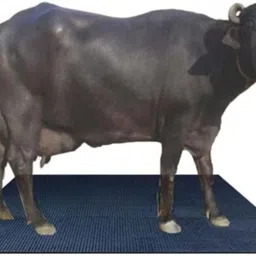 Cow Mat_Waterproof Rubber Mat 8*5 Feet BPA Free For Horse Cow, Dog, Hamster, Guinea Pig, Miniature Pig Pet Mat-image-22