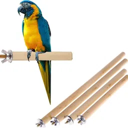 sage square Natural Habitat Wooden Perch / Stand / Toy for Birds Wooden Training Aid, Stick, Perch For Bird-picture-21