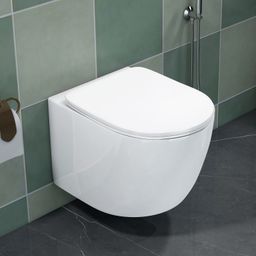 plantex Ceramic Rimless Wall Hung Commode for Toilet/P-Trap Western Commode/Commode with Soft Closing Toilet Seat - (Round ,APS-3044) Western Commode-picture-14