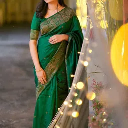 Areca Designer Ethnic Motifs Zari Banarasi Saree-picture-29