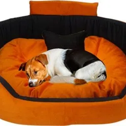 havens dream Dog Bed, Sofas Bed & Chairs Bed Coller With Haddi XXL Pet Bed-picture-29