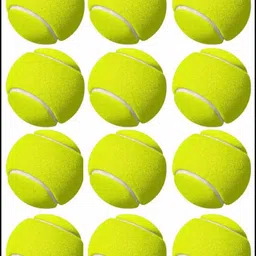 jai shri New-JS _276Pack of 6 Tennis Ball-picture-45