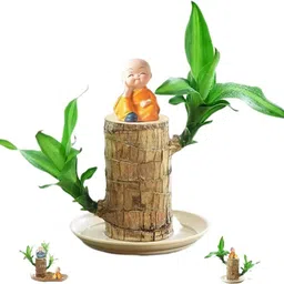 green view Brazilian Wood-picture-25