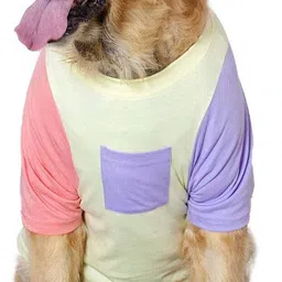 ruse Tank Top for Dog, Cat image 2